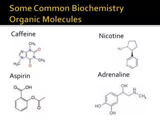 Some Common Biochemistry Organic Molecules