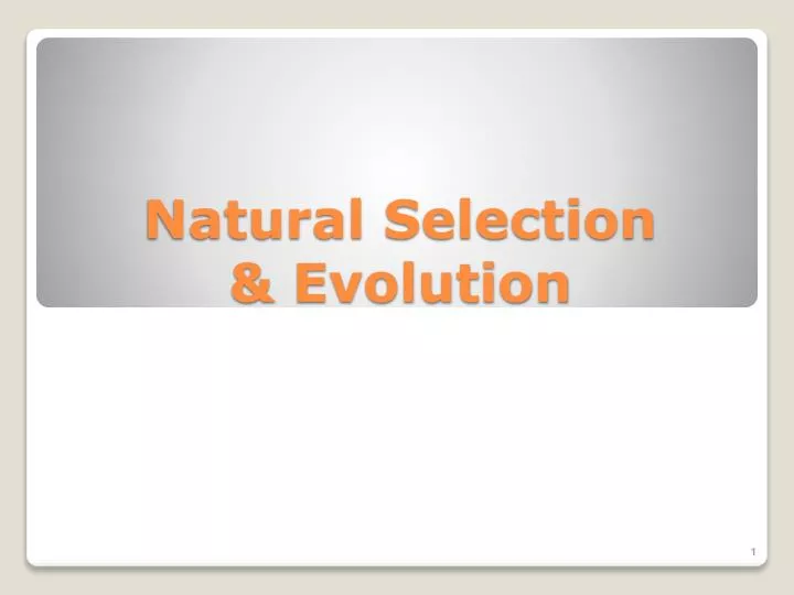 natural selection evolution