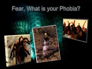 Fear, What is your Phobia?