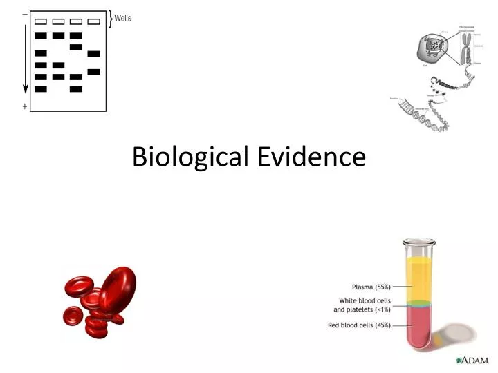 biological evidence