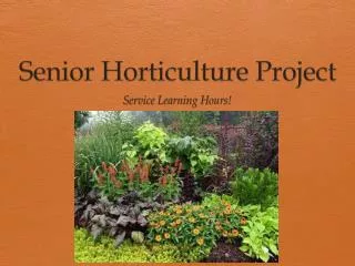 Senior Horticulture Project