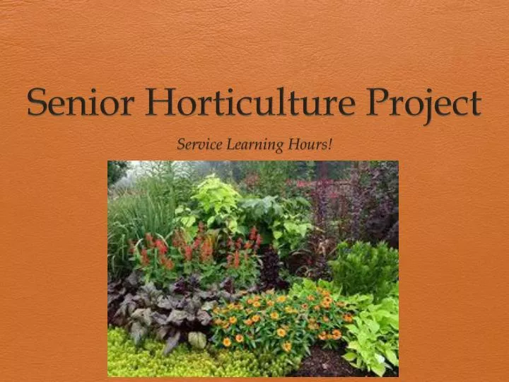 senior horticulture project