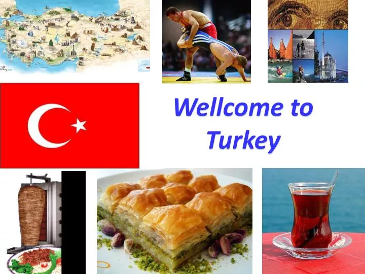 turkey