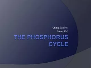 The Phosphorus Cycle