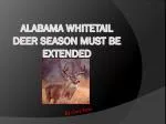 Alabama Whitetail Deer Season Must Be Extended - slide 1
