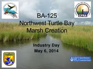 BA-125 Northwest Turtle Bay Marsh Creation