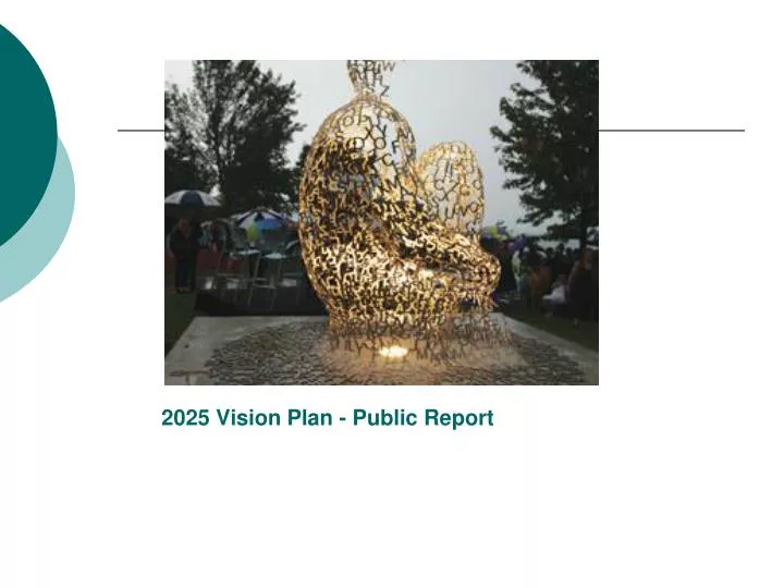 2025 vision plan public report