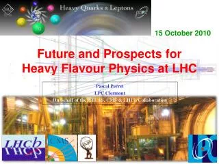 Future and Prospects for Heavy Flavour Physics at LHC