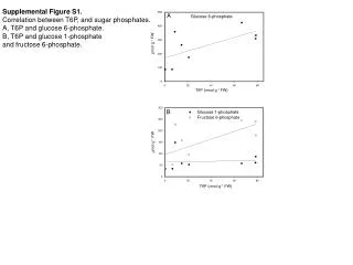 Supplemental Figure S1. Correlation between T6P, and sugar phosphates.