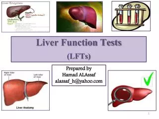 Liver Function Tests (LFTs)