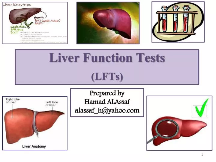 ppt-liver-function-tests-lfts-powerpoint-presentation-free