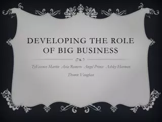 Developing the role of big business