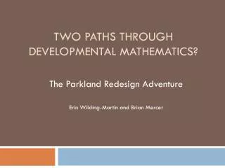 Two Paths Through Developmental Mathematics?
