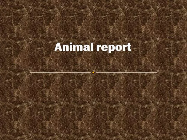 animal report