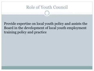 Role of Youth Council