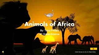 Animals of Africa