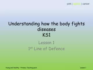 Understanding how the body fights diseases KS1