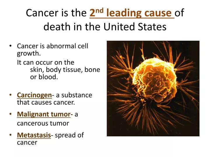 PPT - Cancer is the 2 nd leading cause of death in the United States ...