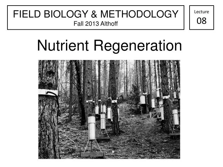nutrient regeneration