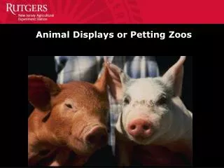 Animal Displays or Petting Zoos