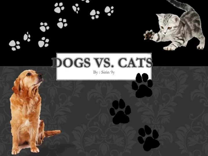 dogs vs cats