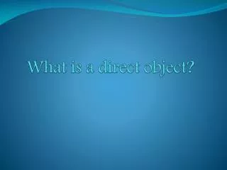 What is a direct object?