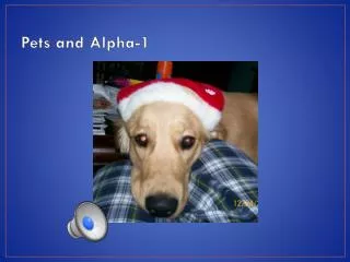 pets and alpha 1