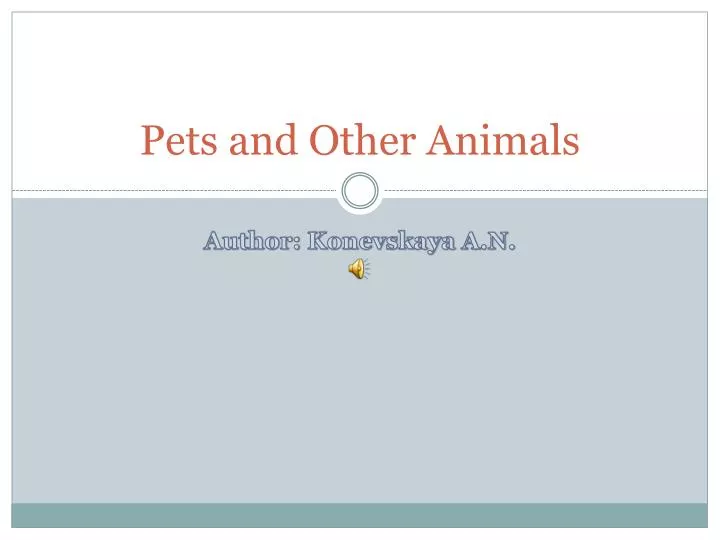 pets and other animals