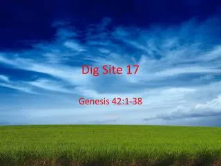 Dig Site 17