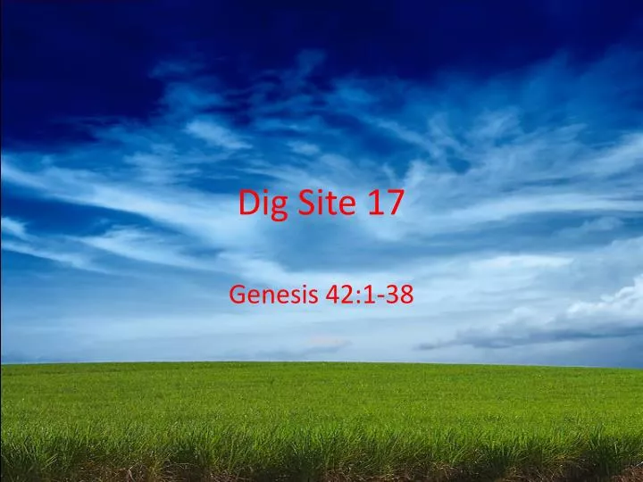 dig site 17