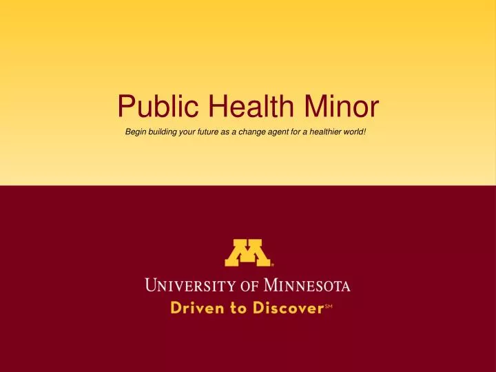 public health minor