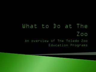 What to Do at The Zoo