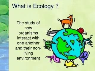 What is Ecology ?
