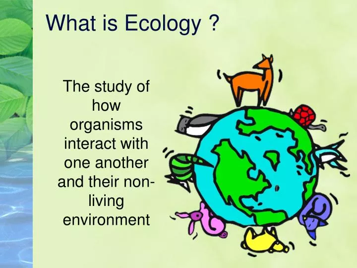 ppt-what-is-ecology-powerpoint-presentation-free-download-id-2623487