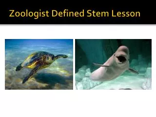 Zoologist Defined Stem Lesson