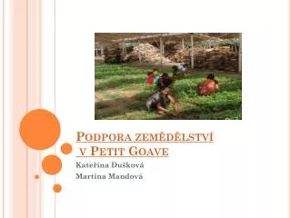 podpora zem d lstv v petit goave