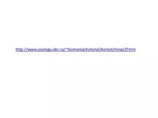 http www zoology ubc ca biomania tutorial bonejt mnqz2f htm