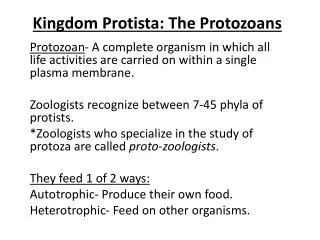 Kingdom Protista : The Protozoans