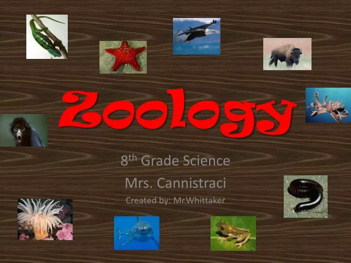 zoology