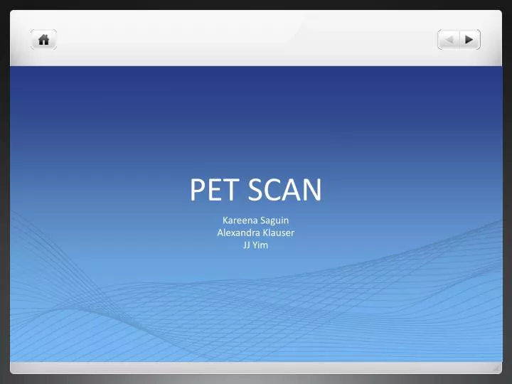 pet scan