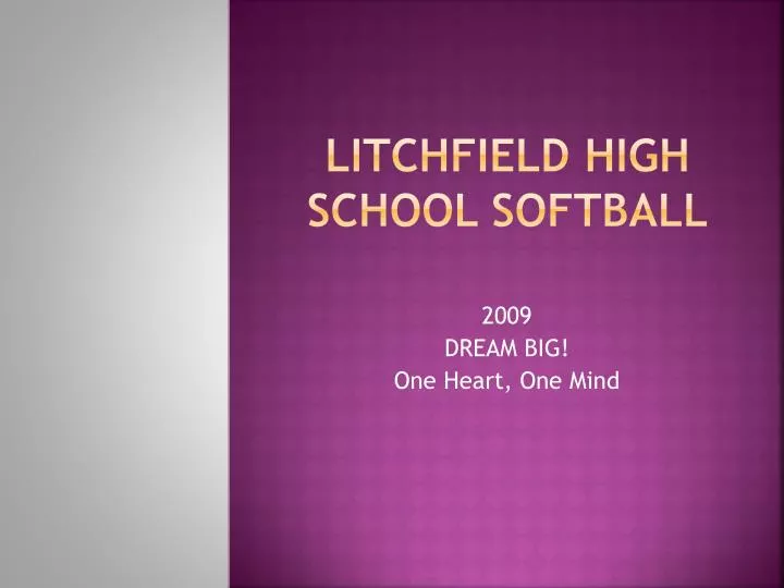 litchfield high school softball