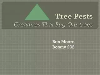 tree pests creatures that bug our trees