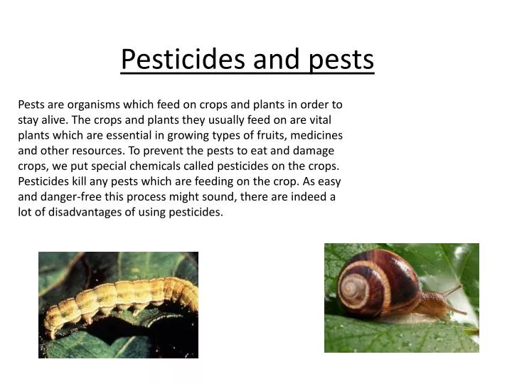 pesticides and pests