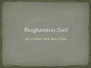 Binghamton Zoo!