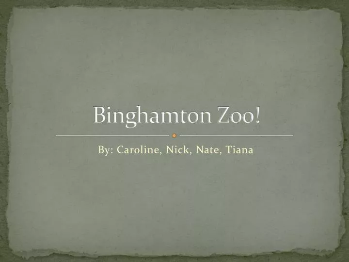 binghamton zoo