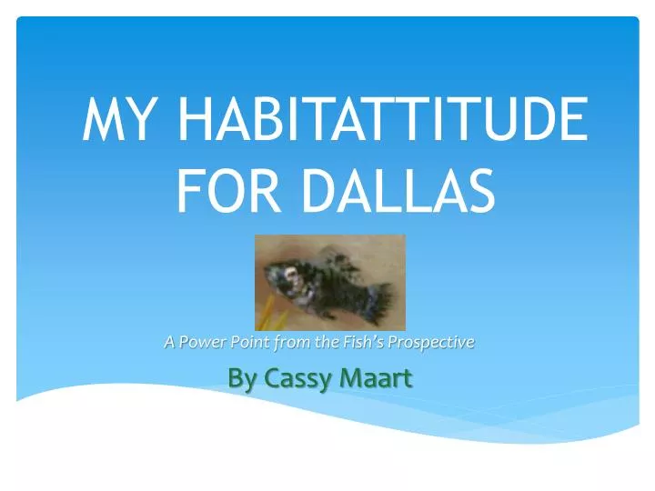my habitattitude for dallas