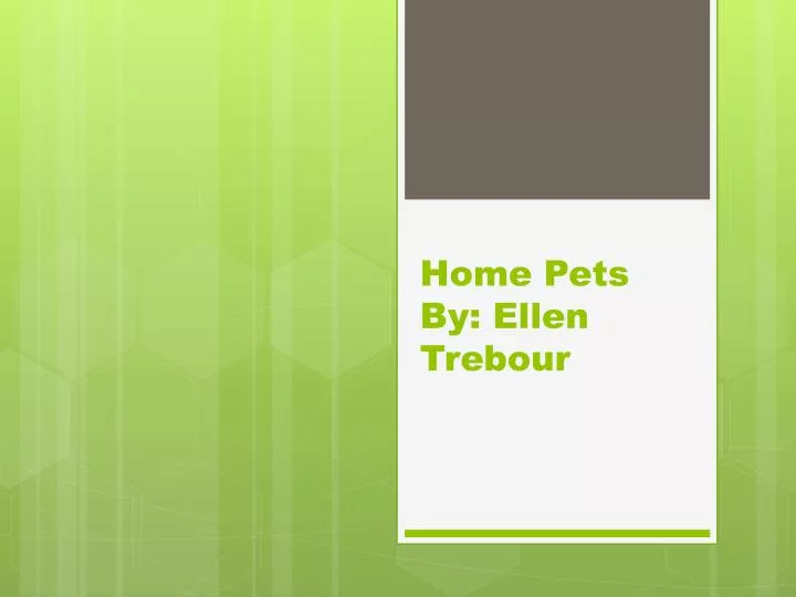 home pets by ellen trebour