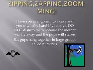 Zipping,Zapping,Zoom-ming !