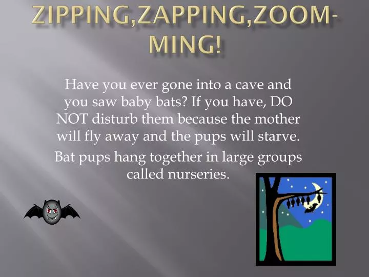 zipping zapping zoom ming