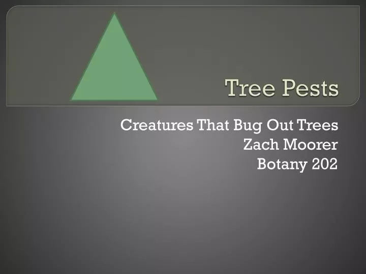 tree pests